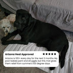 Dog Cooling Mat