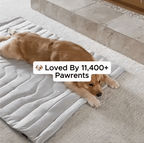 Dog Cooling Mat